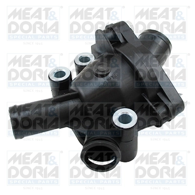 Thermostat, coolant